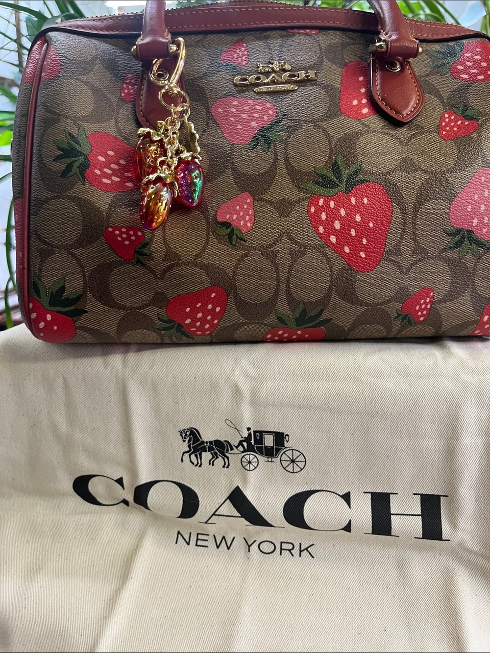 Coach Brown Signature Satchel with Red Strawberry Print - Picture 8 of 11